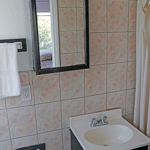 A bathroom features a sink with a vanity, a mirror, a towel rack holding a white towel, a toilet paper holder, and a shower curtain on the right.