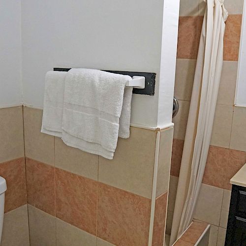 This image shows a small bathroom with a toilet, a towel rack holding two towels, a shower area with a curtain, a sink, and a mirror on the wall.